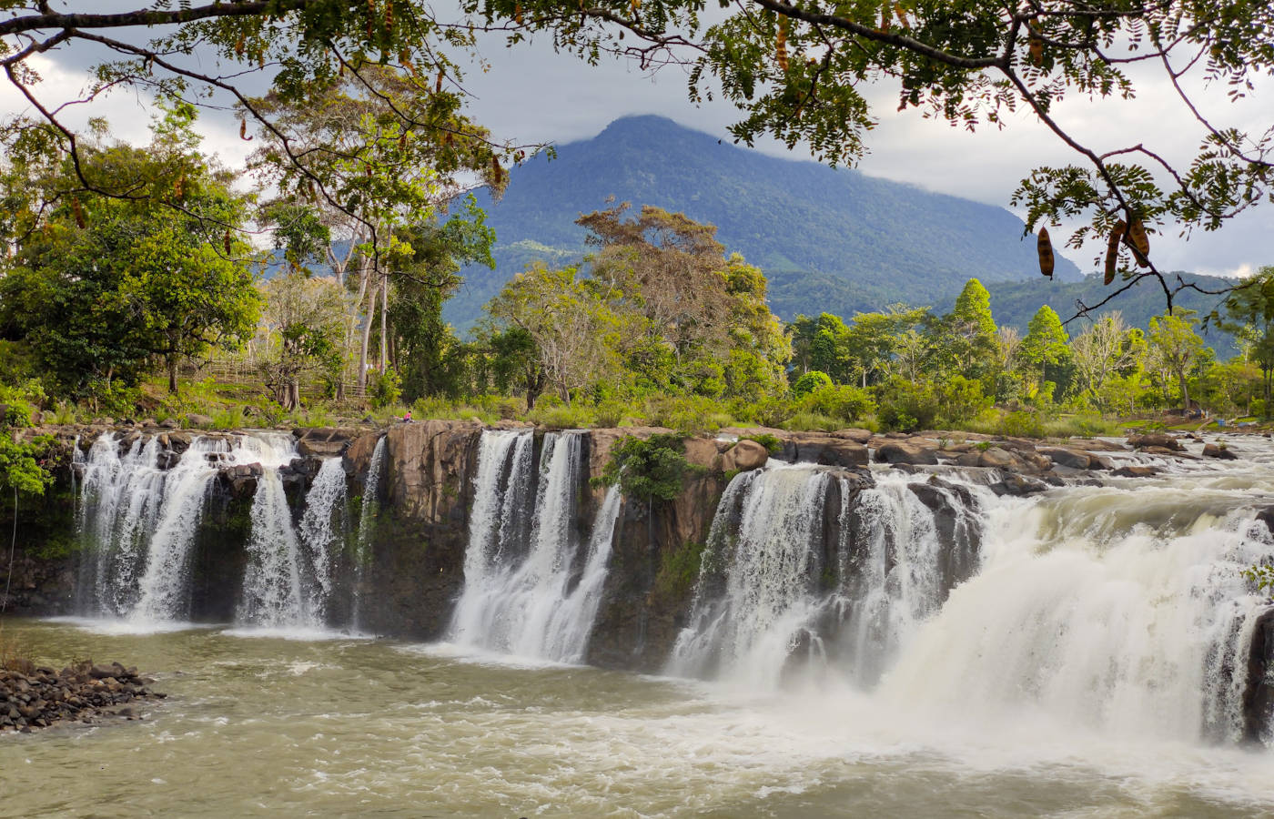 Bolaven Plateau Loop: The Ultimate Guide