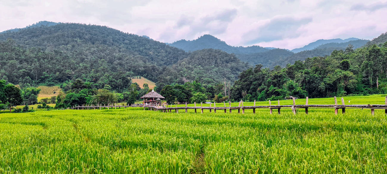 Pai: The town of tranquility and freedom of expression 