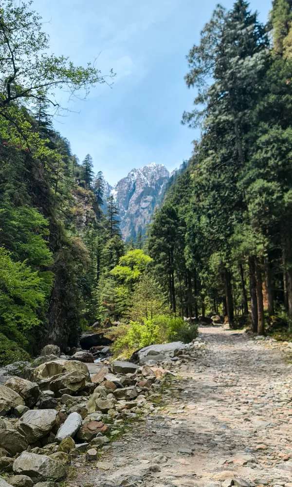 The 4x4 trail towards the ascent to Grahan