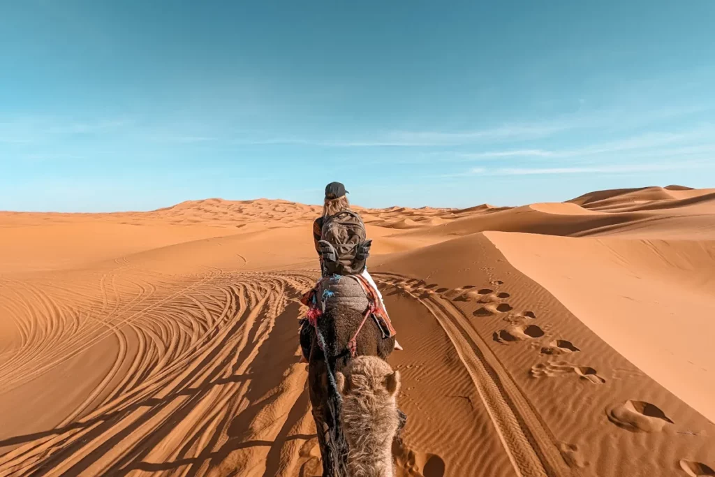 Riding camels to our remote desert camp in Merzouga