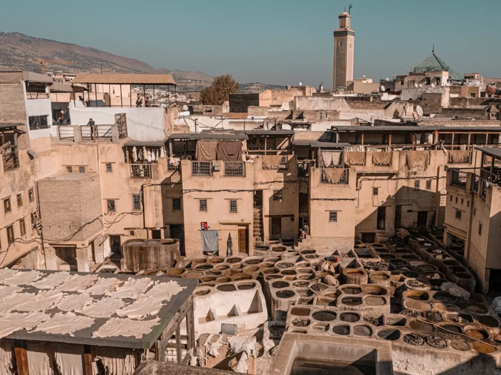 The famous UNESCO leather tanneries of Fes