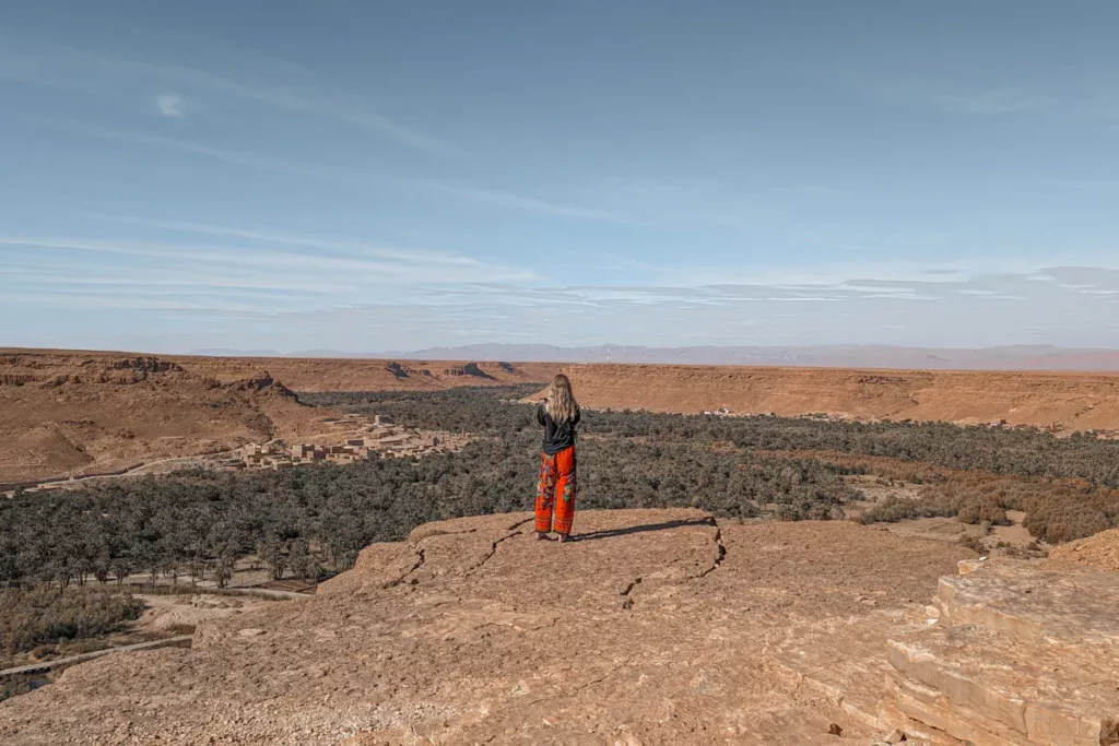 One of the many oases in the area of Ouarzazate