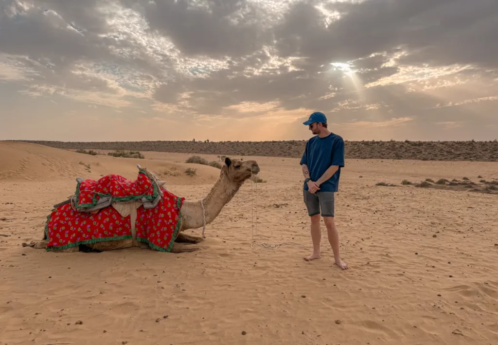 Our Thar desert trekking camel, Romeo