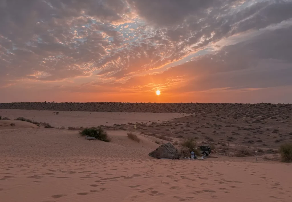 Sunset in the Thar desert