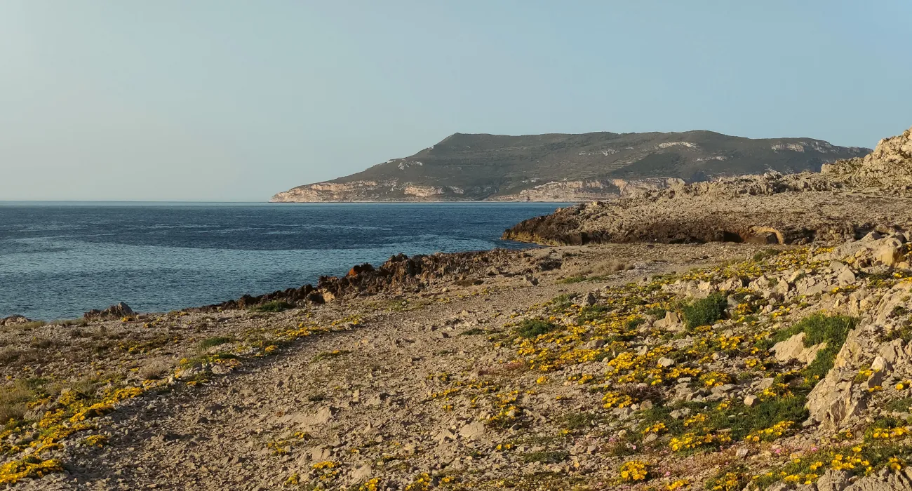 10 cose da fare a Favignana, Italia: L’incantevole isola della Sicilia