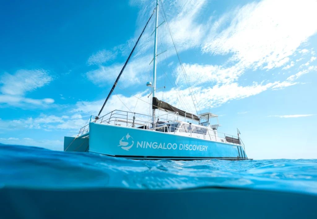 Ningaloo Discovery boat tour in Exmouth