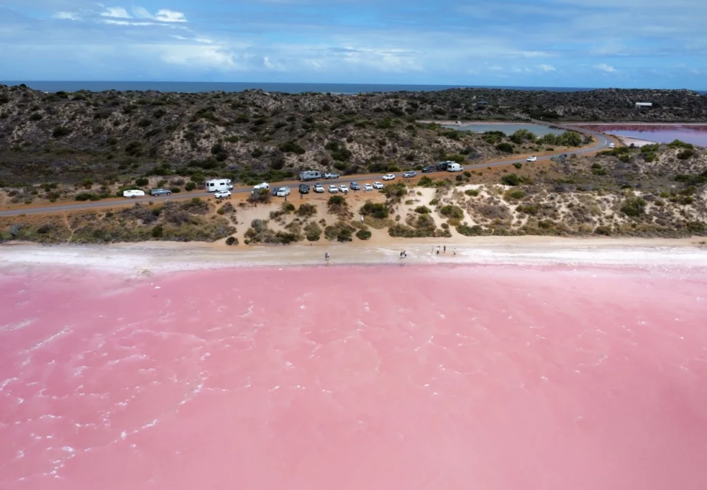 Unfiltered bubblegum colour