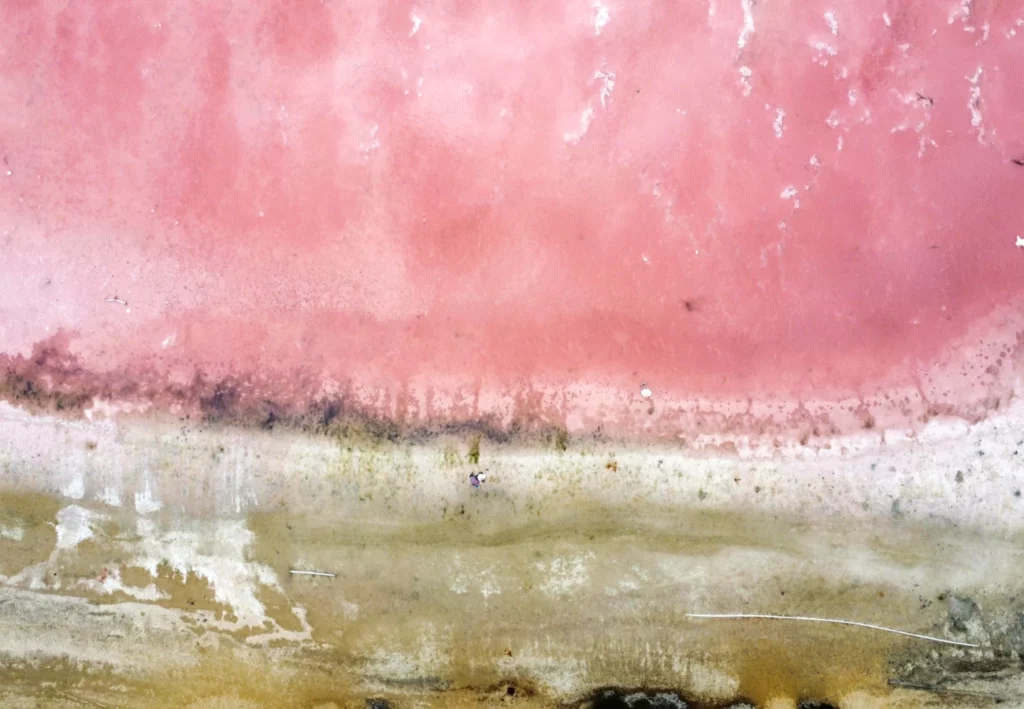 Pink lake from above