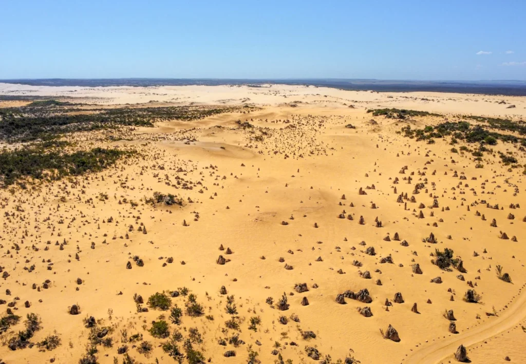 Pinnacles Desert from above